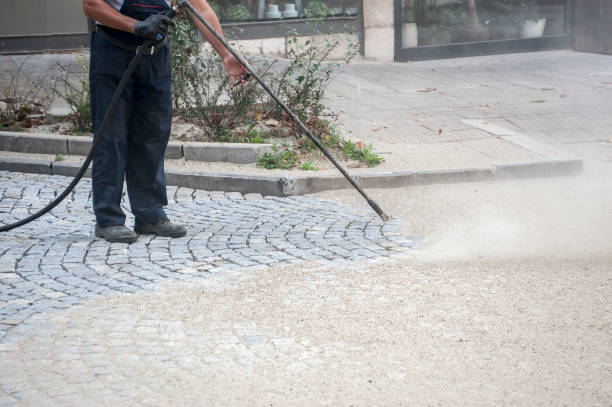 Best Restaurant Pressure Washing  in Brownsville, FL