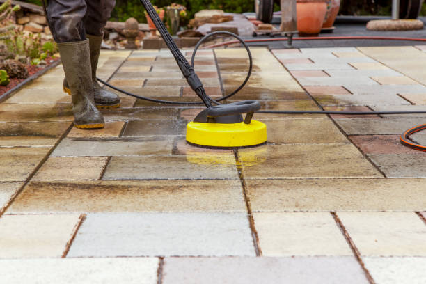 Animal Enclosure Cleaning in Brownsville, FL