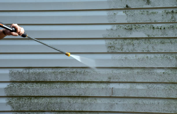 Professional Pressure Washing Services in Brownsville, FL
