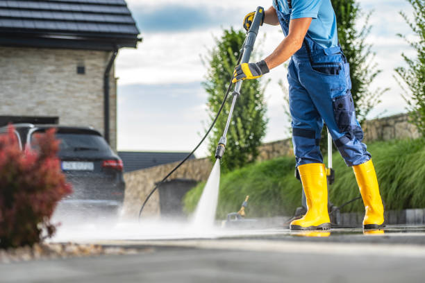 Best Gutter Cleaning  in Brownsville, FL
